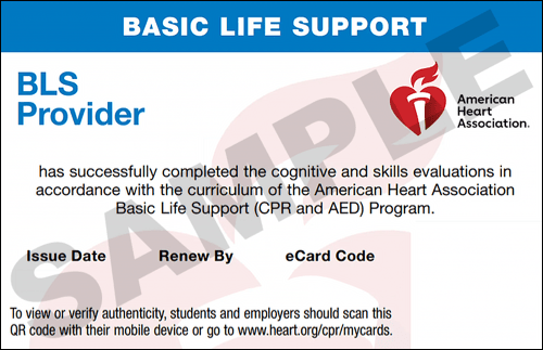Sample American Heart Association AHA BLS CPR Card Certification from CPR Certification Indianapolis