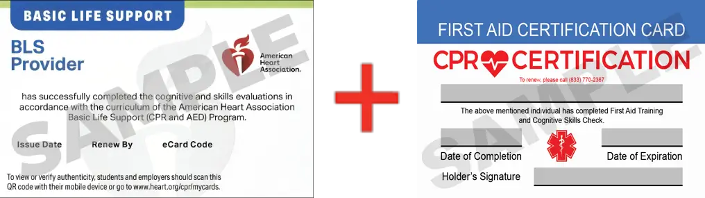 Sample American Heart Association AHA BLS CPR Card Certification and First Aid Certification Card from CPR Certification Indianapolis