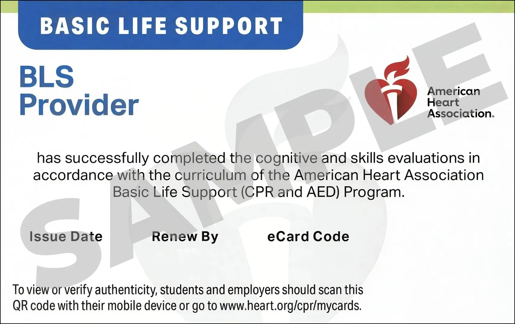 Sample American Heart Association AHA BLS CPR Card Certification from CPR Certification Indianapolis